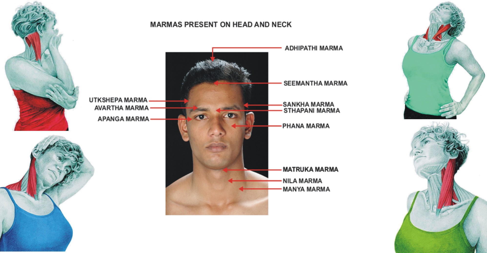 Marma self stimulation on head and neck