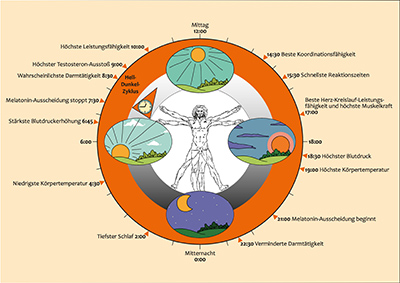 Tagesrhythmus - Personal Coaching